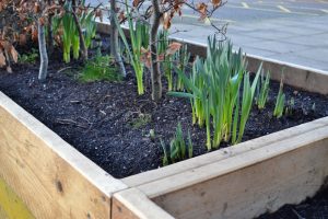  Close up image of Wooden Planter box